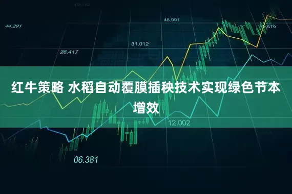 红牛策略 水稻自动覆膜插秧技术实现绿色节本增效