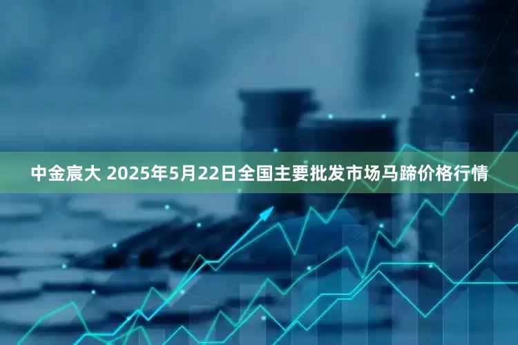 中金宸大 2025年5月22日全国主要批发市场马蹄价格行情